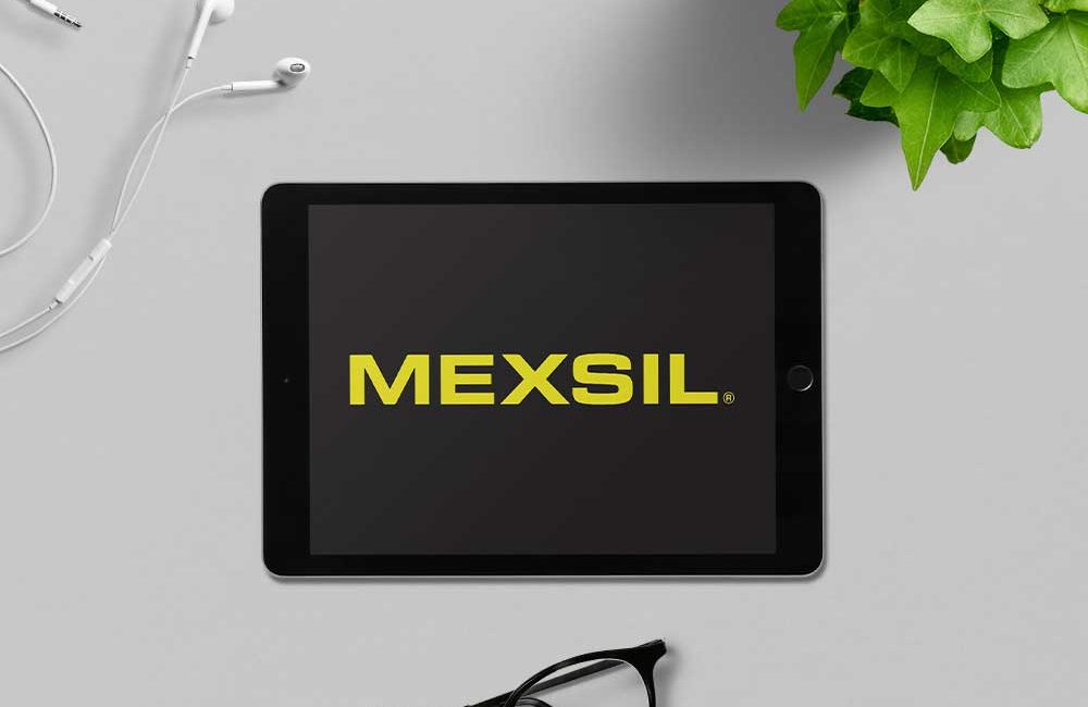 TONIC-latam-estrategia-negocio-servicios-portafolio-proyecto-MEXSIL